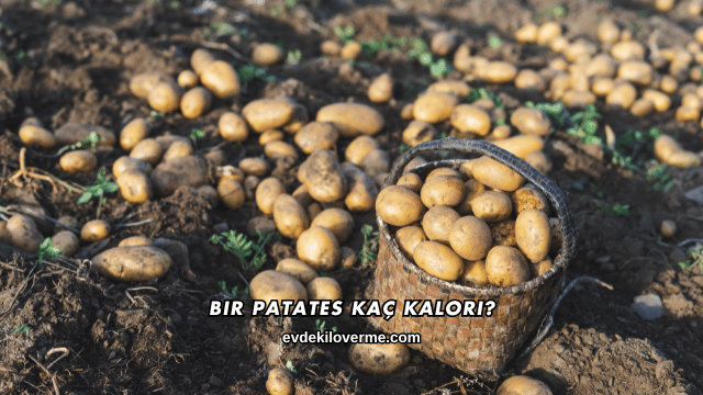 Bir Patates Kaç Kalori?