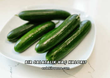 Bir Salatalık Kaç Kalori?