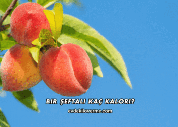 Bir Şeftali Kaç Kalori?