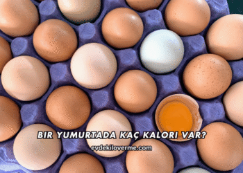 Bir Yumurtada Kaç Kalori Var?