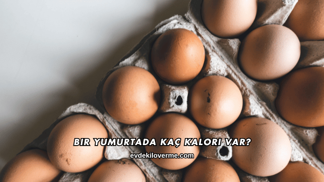Bir Yumurtada Kaç Kalori Var?