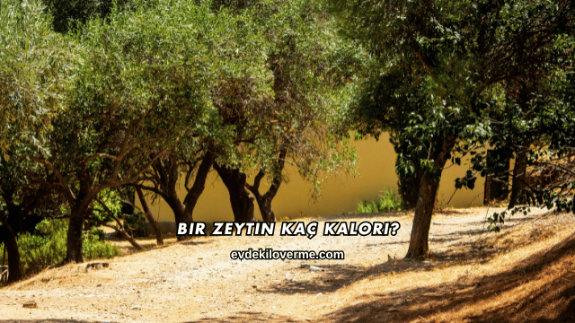 Bir Zeytin Kaç Kalori?