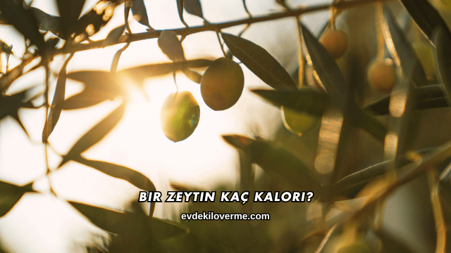 Bir Zeytin Kaç Kalori?