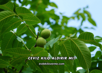 Ceviz Kilo Aldırır mı?