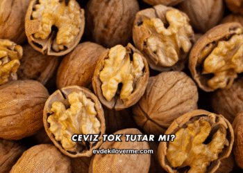 Ceviz Tok Tutar mı?