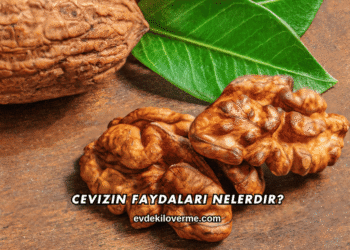 Cevizin Faydaları Nelerdir?