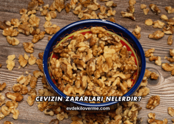 Cevizin Zararları Nelerdir?