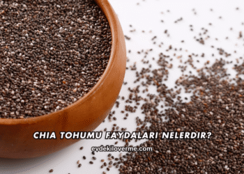 Chia Tohumu Faydaları Nelerdir?