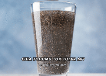 Chia Tohumu Tok Tutar mı?