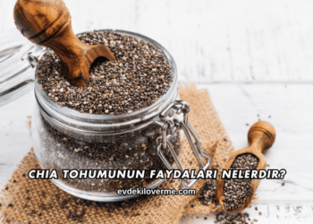 Chia Tohumunun Faydaları Nelerdir?