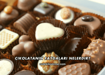 Çikolatanın Faydaları Nelerdir?