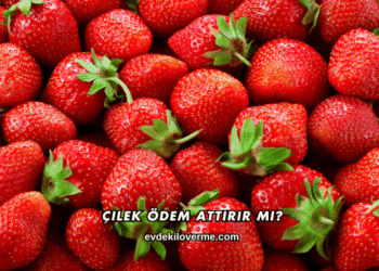 Çilek Ödem Attırır mı?