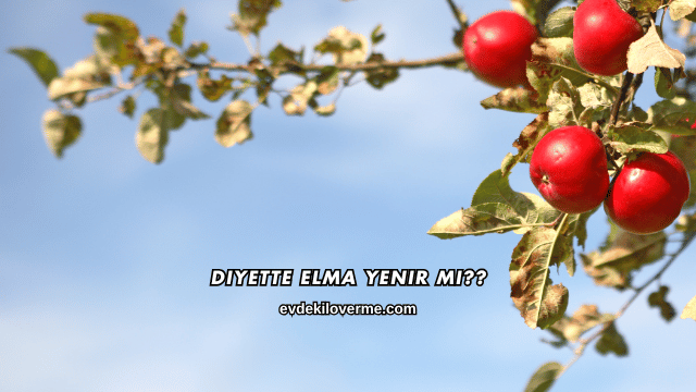 Diyette Elma Yenir mi?