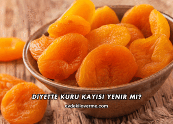 Diyette Kuru Kayısı Yenir mi