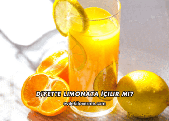 Diyette Limonata İçilir mi?