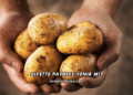 Diyette Patates Yenir mi?