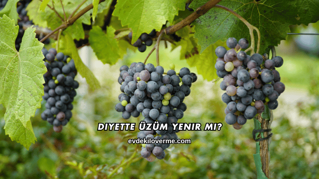 Diyette Üzüm Yenir mi?
