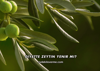 Diyette Zeytin Yenir mi?