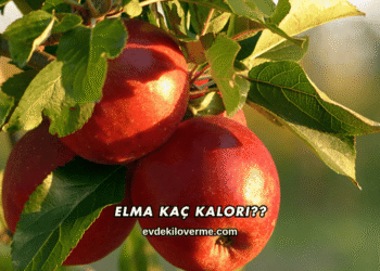 Elma Kaç Kalori?
