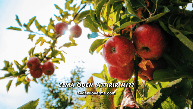 Elma Ödem Attırır mı?