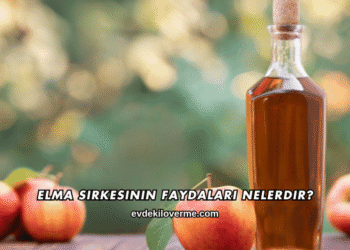 Elma Sirkesinin Faydaları Nelerdir?