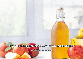 Elma Sirkesinin Zararları Nelerdir?