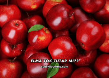 Elma Tok Tutar mı