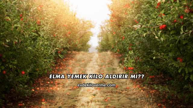 Elma Yemek Kilo Aldırır mı?