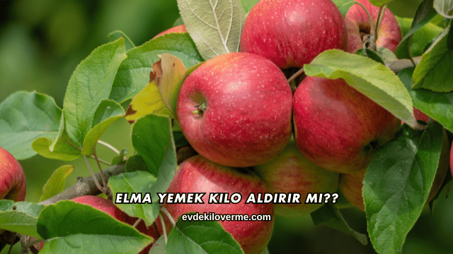 Elma Yemek Kilo Aldırır mı?