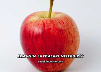 Elmanın Faydaları Nelerdir?