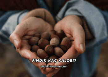 Fındık Kaç Kalori?