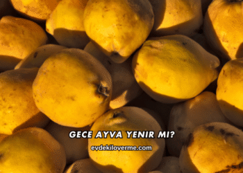 Gece Ayva Yenir mi?