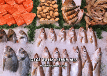 Gece Balık Yenir mi?