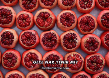 Gece Nar Yenir mi?