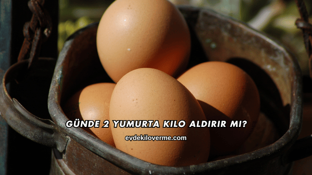 Günde 2 Yumurta Kilo Aldırır mı?