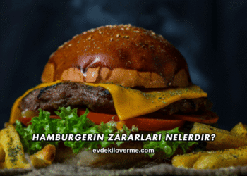 Hamburgerin Zararları Nelerdir?