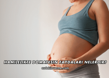 Hamilelikte Domatesin Faydaları Nelerdir?