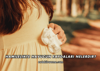 Hamilelikte Havucun Faydaları Nelerdir?