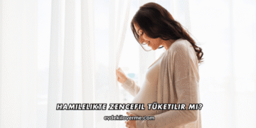 Hamilelikte Zencefil Tüketilir mi?