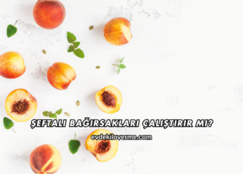Şeftali Bağırsakları Çalıştırır mı?