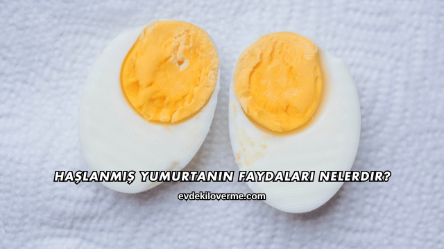 Haşlanmış Yumurtanın Faydaları Nelerdir?