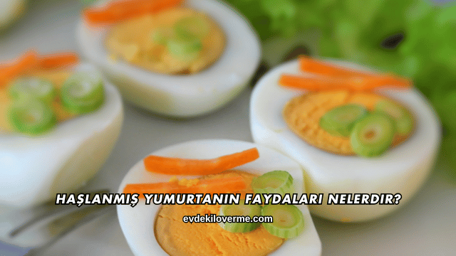 Haşlanmış Yumurtanın Faydaları Nelerdir?