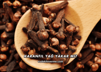 Karanfil Yağ Yakar mı?