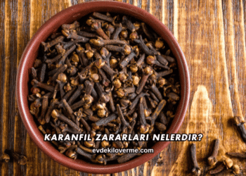 Karanfil Zararları Nelerdir?