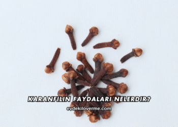 Karanfilin Faydaları Nelerdir?