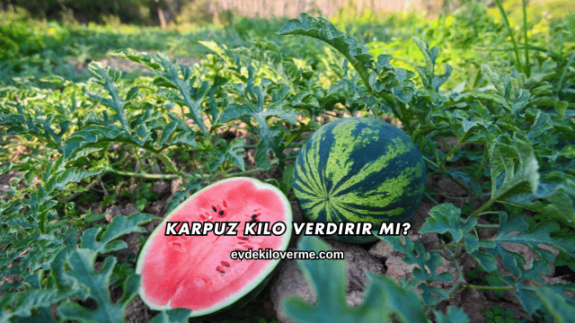 Karpuz Kilo Verdirir mi?