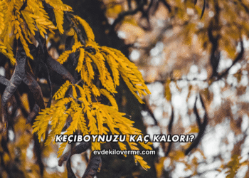 Keçiboynuzu Kaç Kalori?