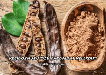 Keçiboynuzu Özü Faydaları Nelerdir?
