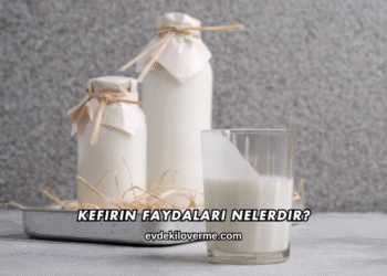 Kefirin Faydaları Nelerdir?
