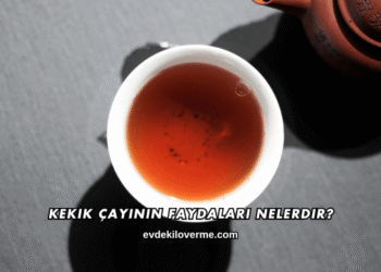 Kekik Çayının Faydaları Nelerdir?